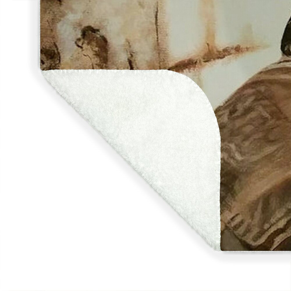 Fan Art of Tyrese - Blanket
