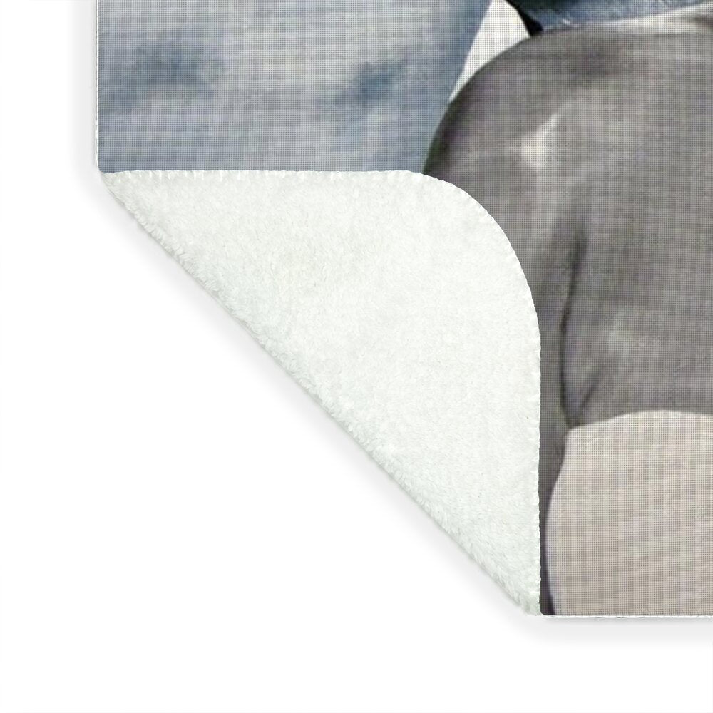 In Memory of...Whitney Houston - Blanket