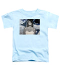 In Memory of...Whitney Houston - Toddler T-Shirt
