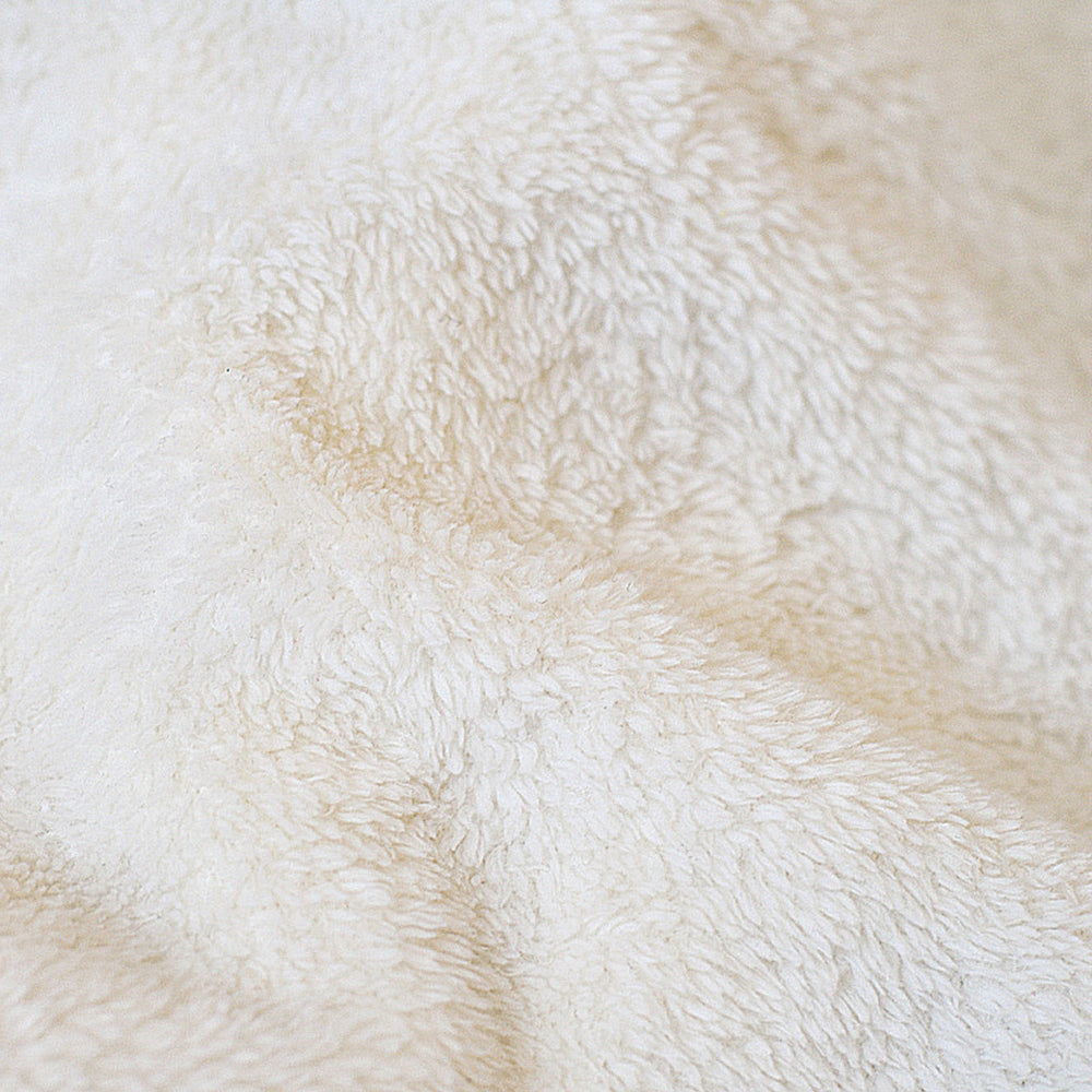 Nancy Wilson 2 - Blanket